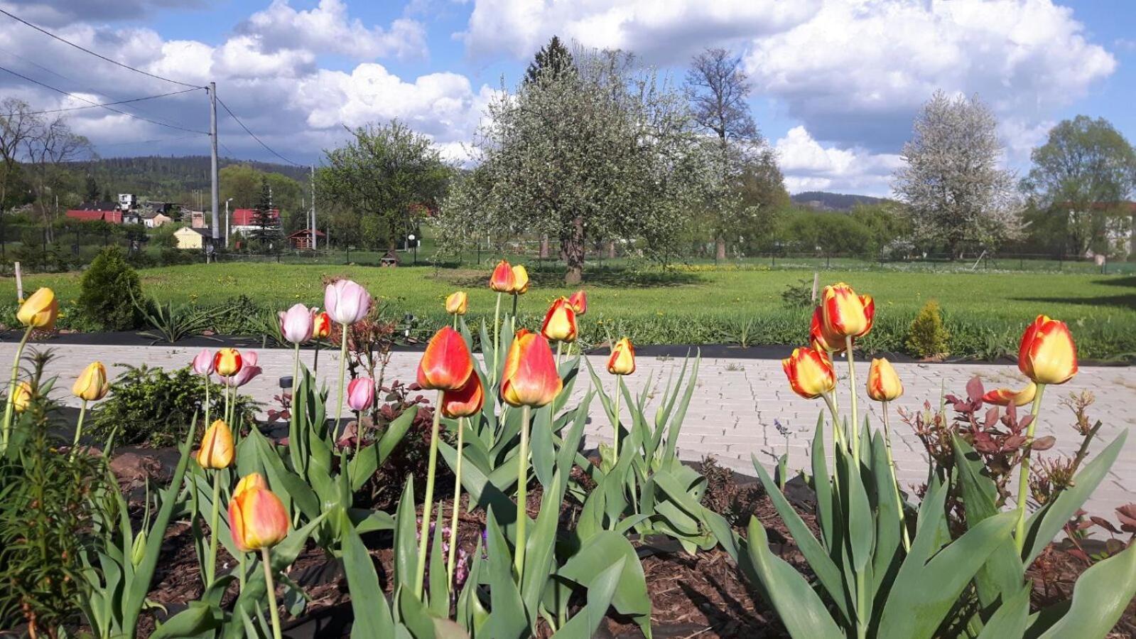 Agroturystyka "U Kasi" Scinawka Gorna Exterior foto