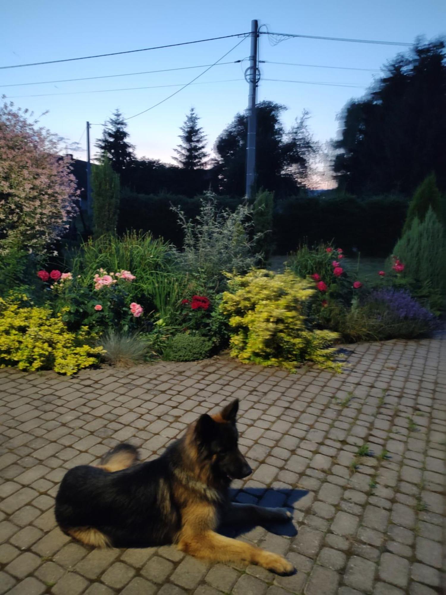 Agroturystyka "U Kasi" Scinawka Gorna Exterior foto