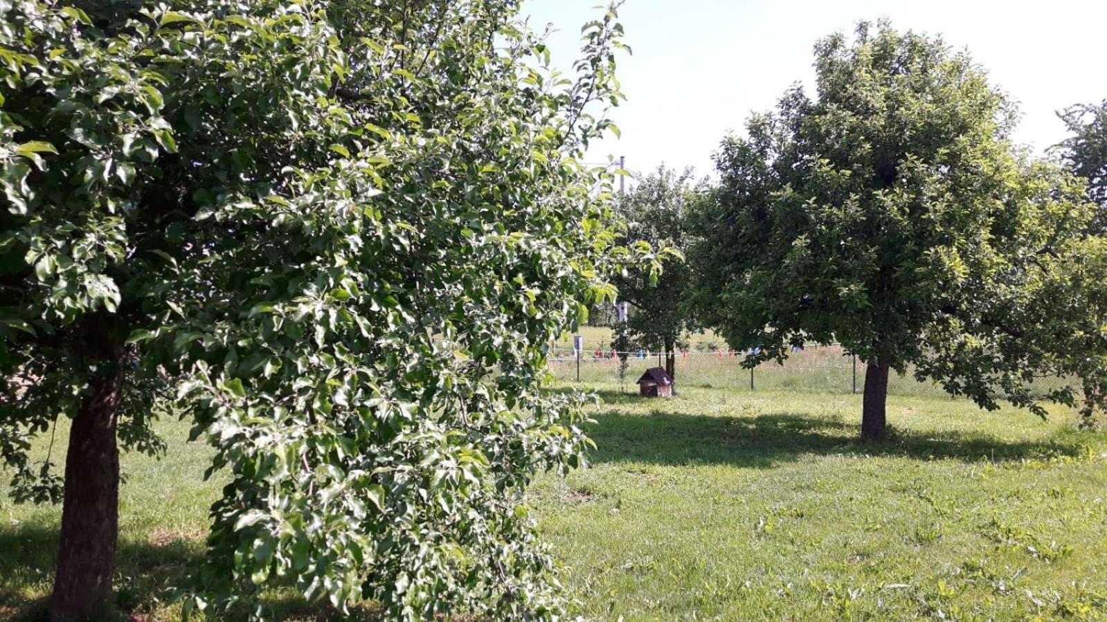 Agroturystyka "U Kasi" Scinawka Gorna Exterior foto